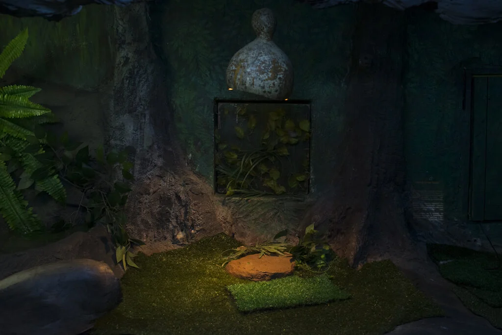 03-d6acdc6cf9347c9ee4e1f63901dd2b9e