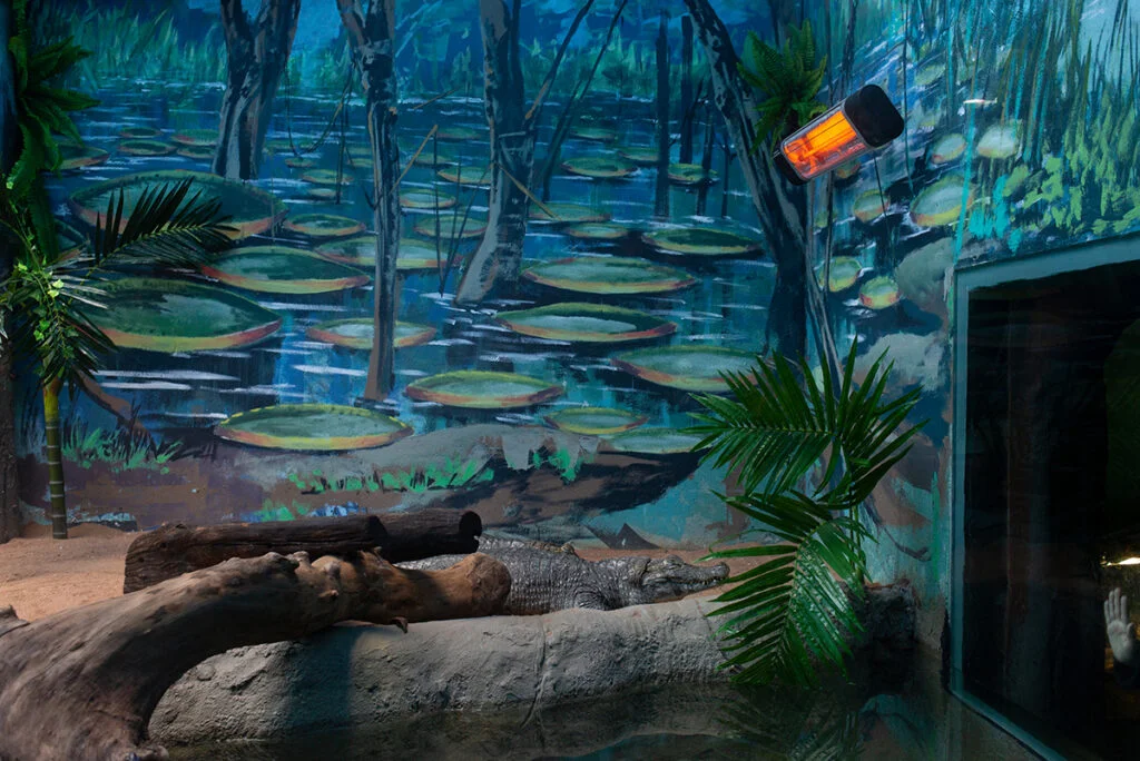 04-f370c215426f32f2f7eb77aa6ec221c6