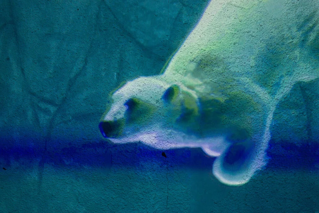 05-527e84413f7b43d8511b53baf276d94c