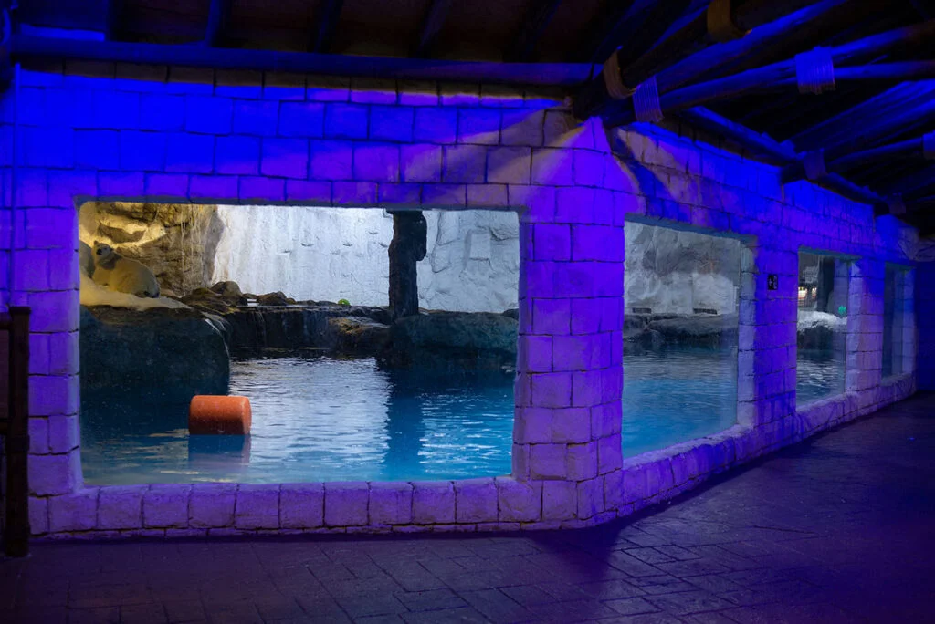 06-8bcd940064aa4d71518183dc7fb1f891