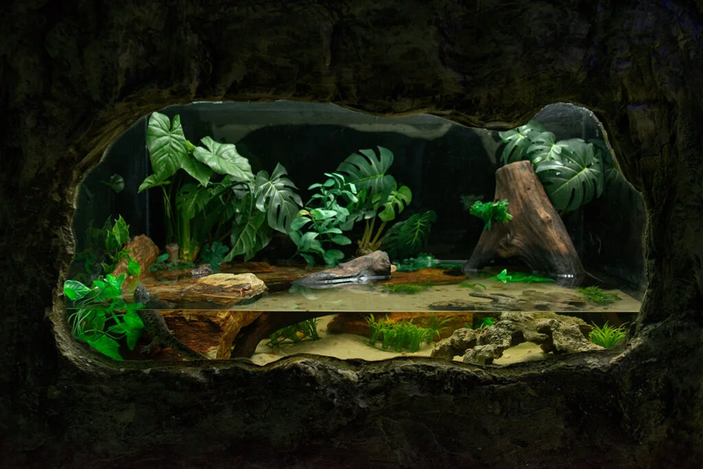 07-31adef9bc46089c3b8d6960bf550909a