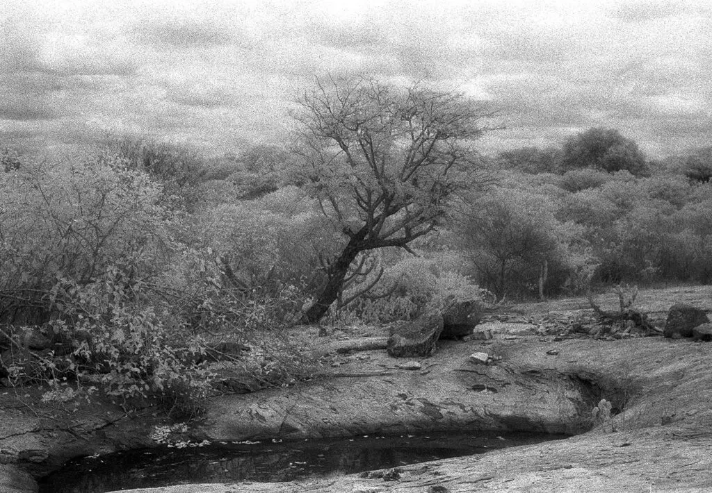 07_Monica_Zarattini_2016-5455fcc92abf2a95880be2733aea1f87