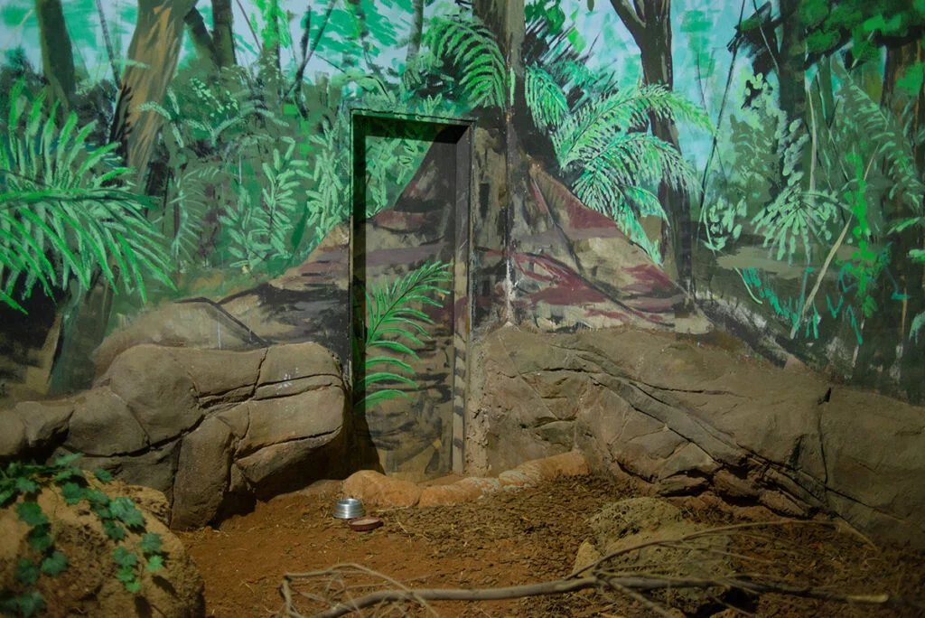 08-033464bad7ac5fdfbbf569728d7a9b50