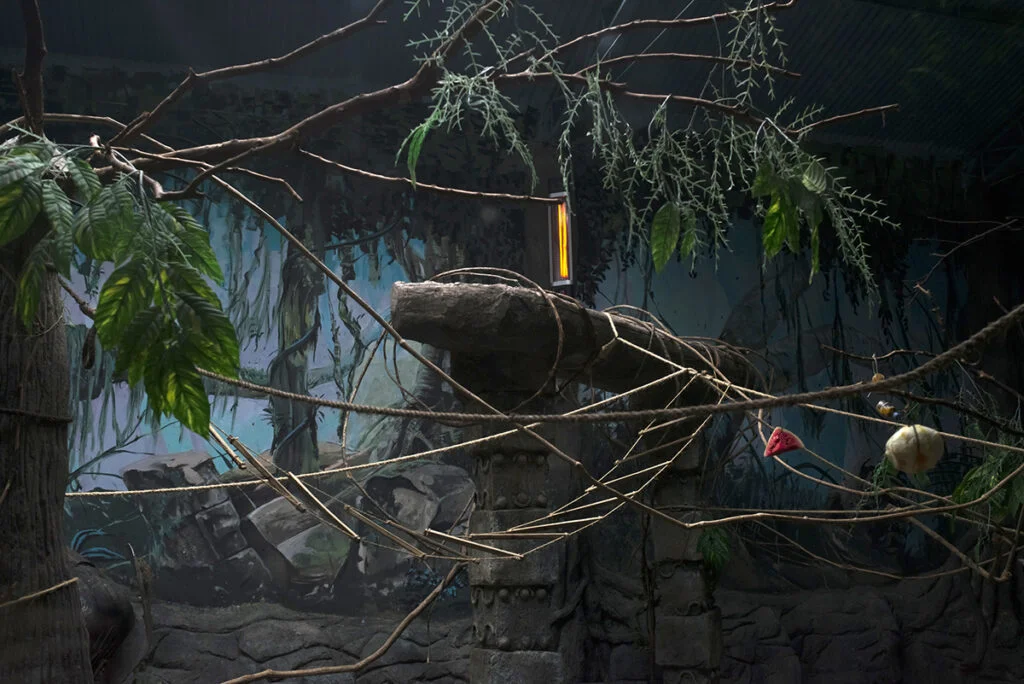 12-37a04a77698bc6d3306bb9a7d9de5ae8