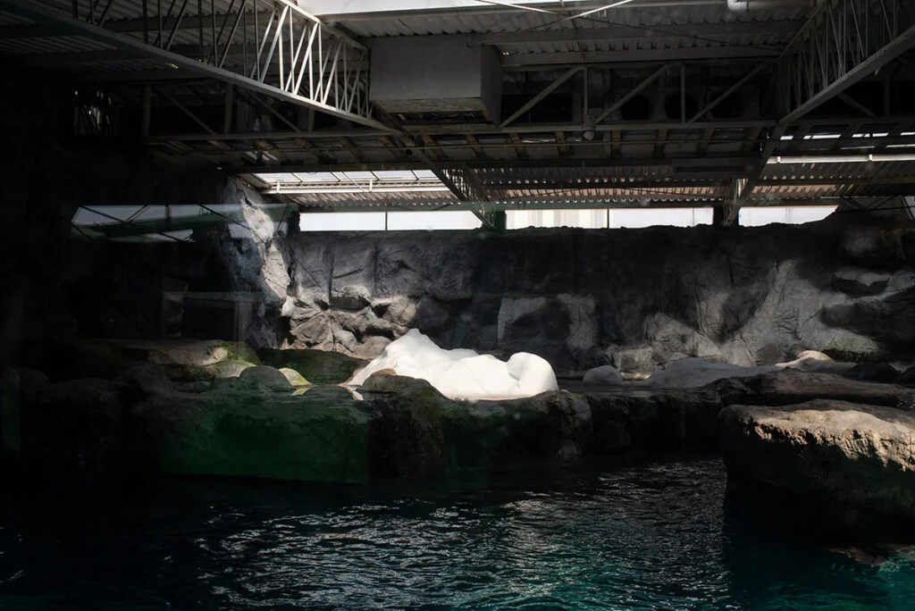 13-a7402239ae07db8f8f8ad6cc255cba45