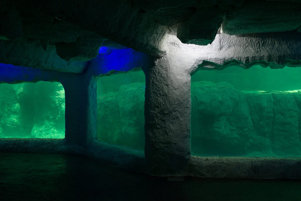 14-6a081338265fc592d2965c3eb47f6888