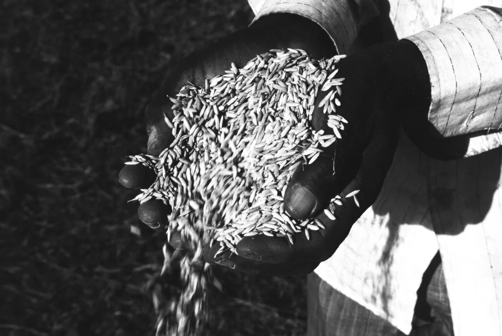 Fotos da Romaria de Nossa Senhora da Abadia, festejo tradicional que acontece no maior território quilombola do país no nordeste de Goiás,no  Sítio Histórico e Patrimônio Cultural Kalunga.