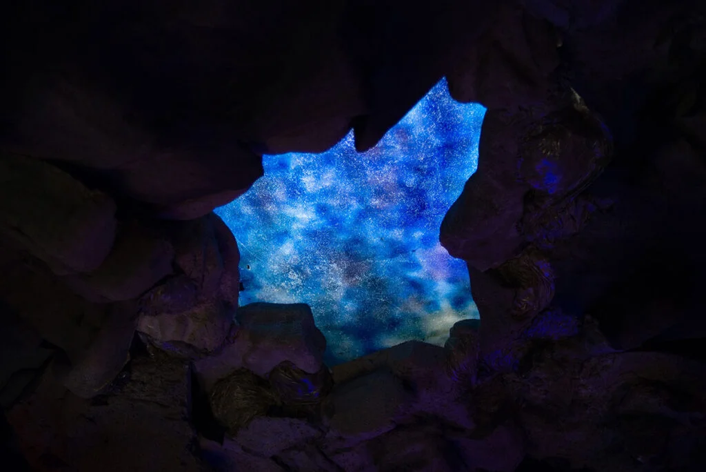 15-c18538d27d1c6732e74be50f77d5a616