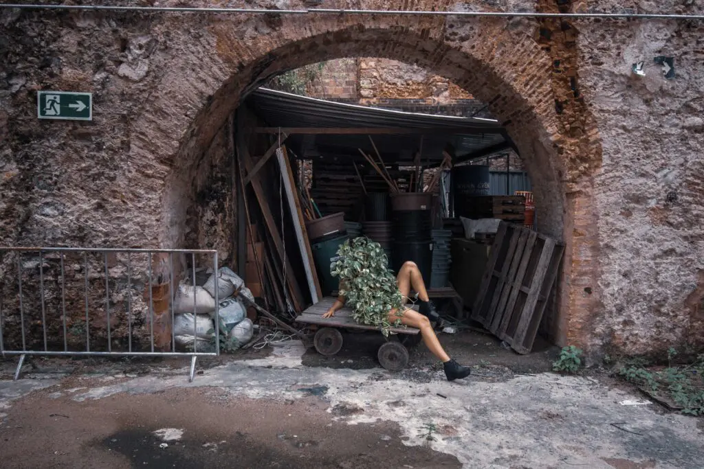 Alice-18-bdf84391f137b54ad67841c445746f0a