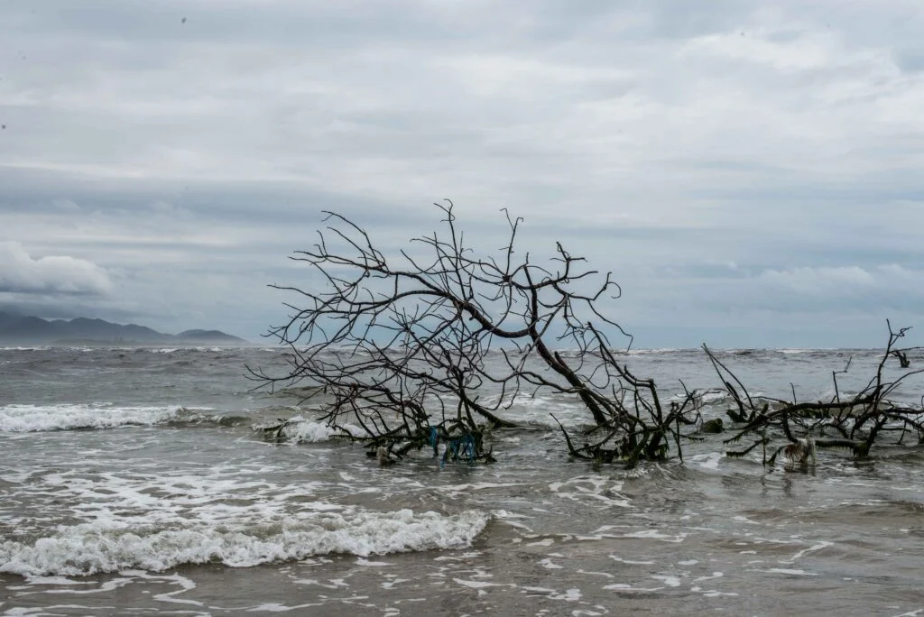 Carolina Kotchetkoff 14