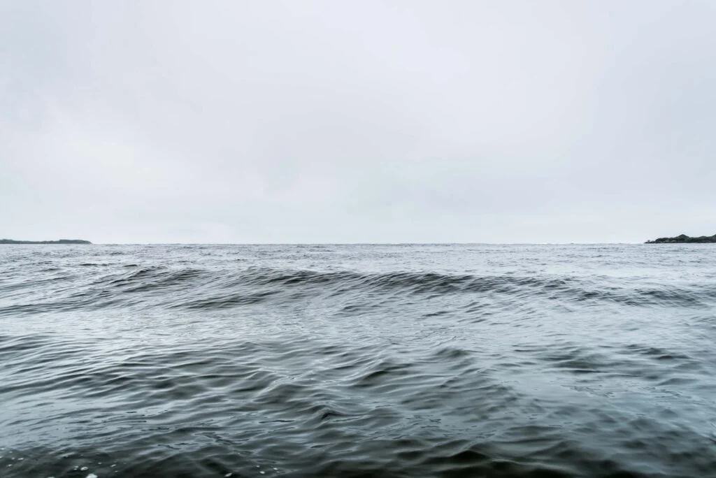 Carolina Kotchetkoff 15