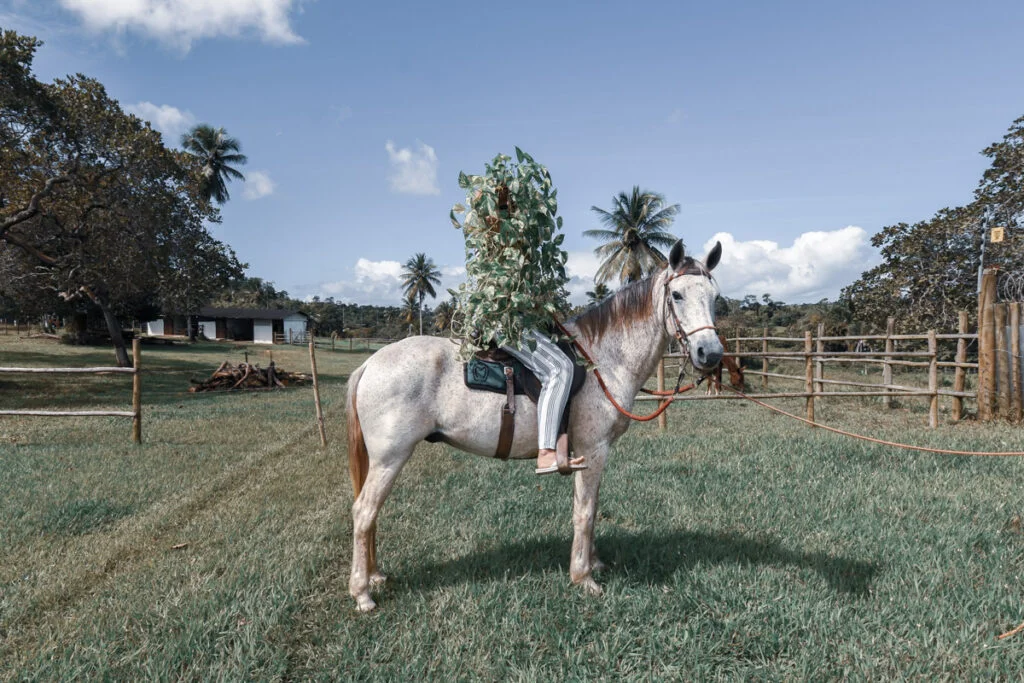 DSC_6484-78c2bbfb4dbe6c9a7396dcbc7fd6ea26