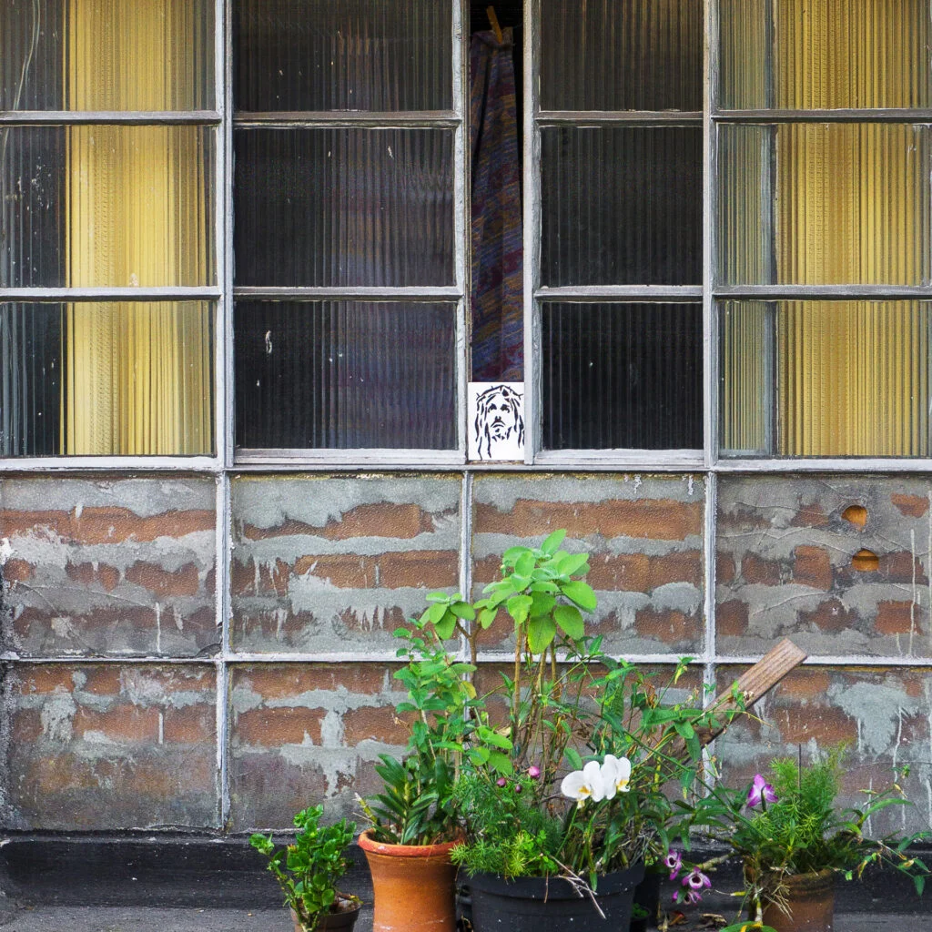 Daniela-Schneider_Elevado_06