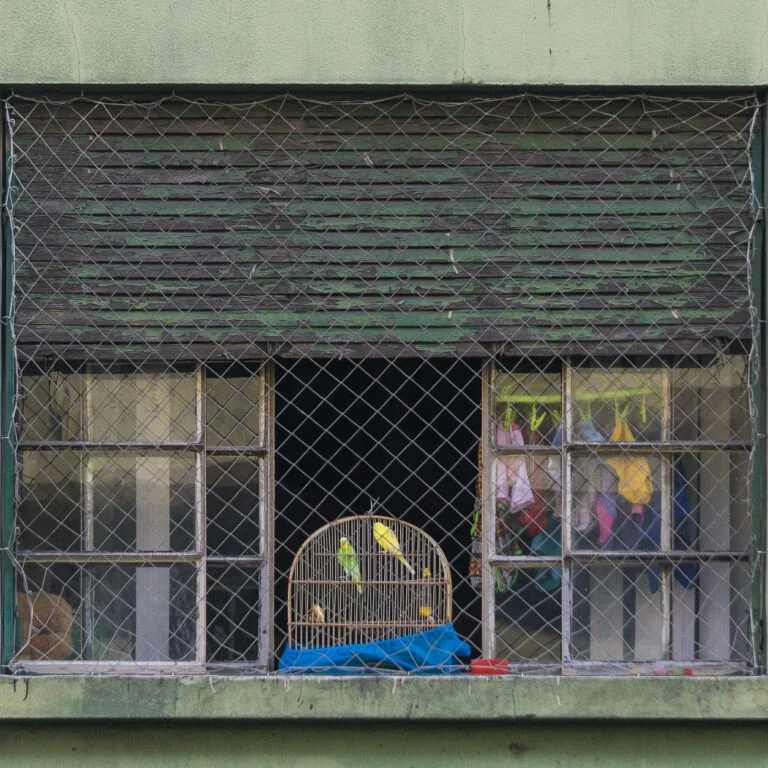 Daniela-Schneider_Elevado_08