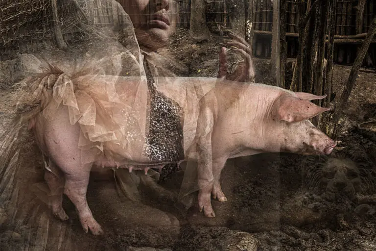 Delfina-Rocha_Perolas_aos_Porcos (2)