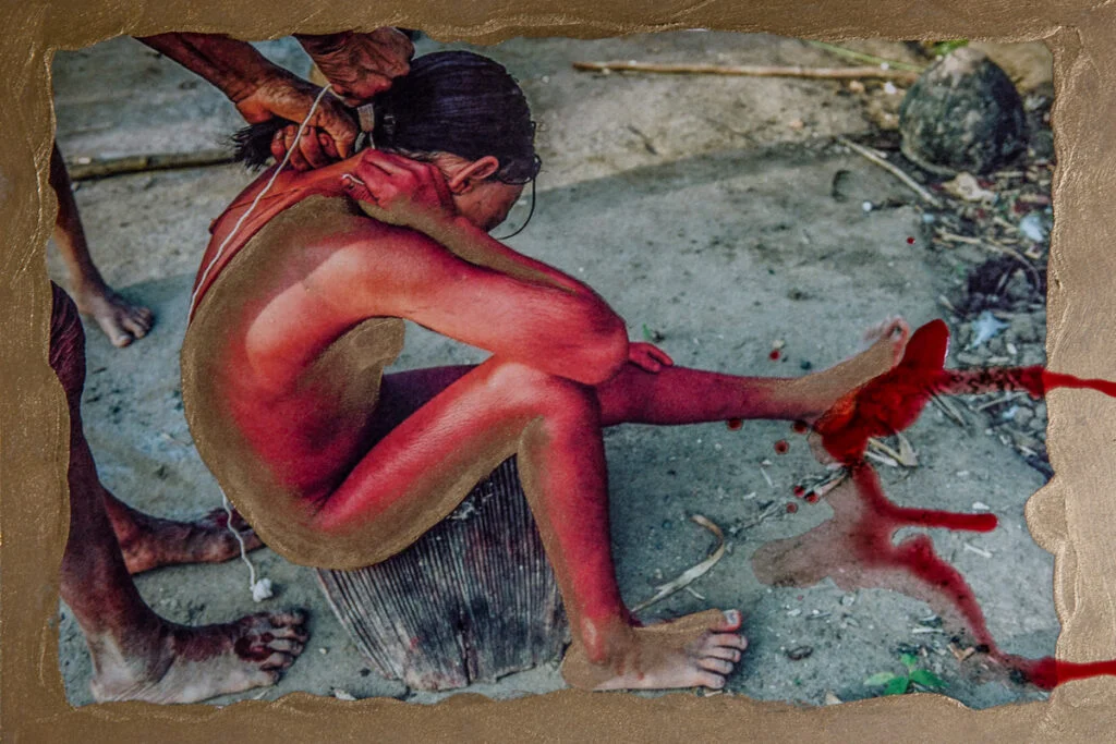 Collages from the Amazon- GOLD, BLOOD, EARTH, LEAVES, FIRE