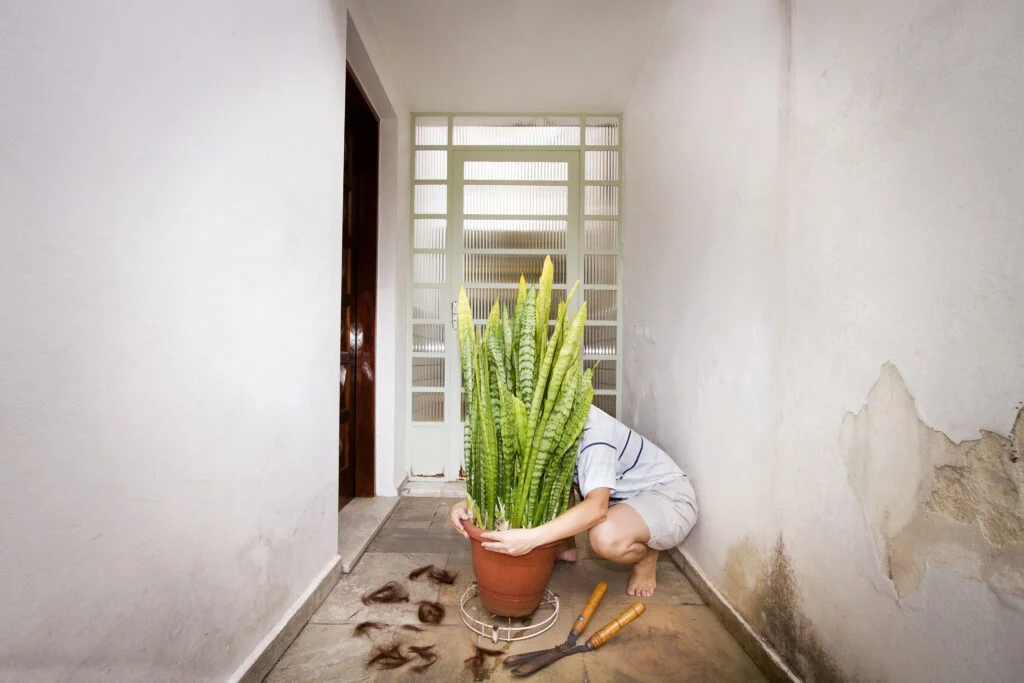 Sylvia-Sanchez_Cronica-de-banalidades-ordinarias_09-f0f4cd61f55b03abd46732e093873395