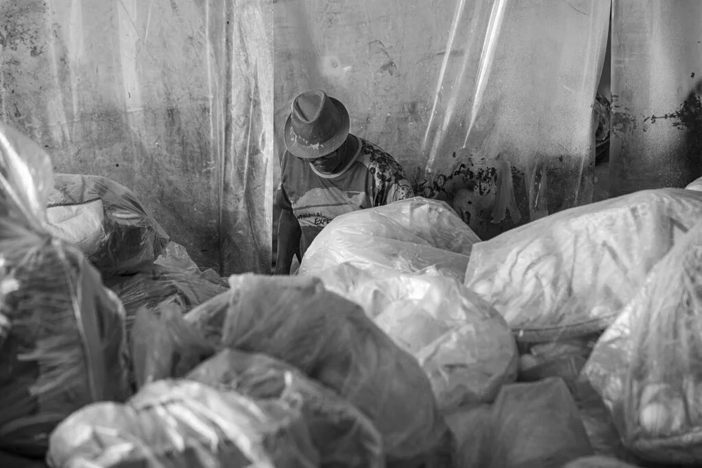 ana_branco_0010_reduzida