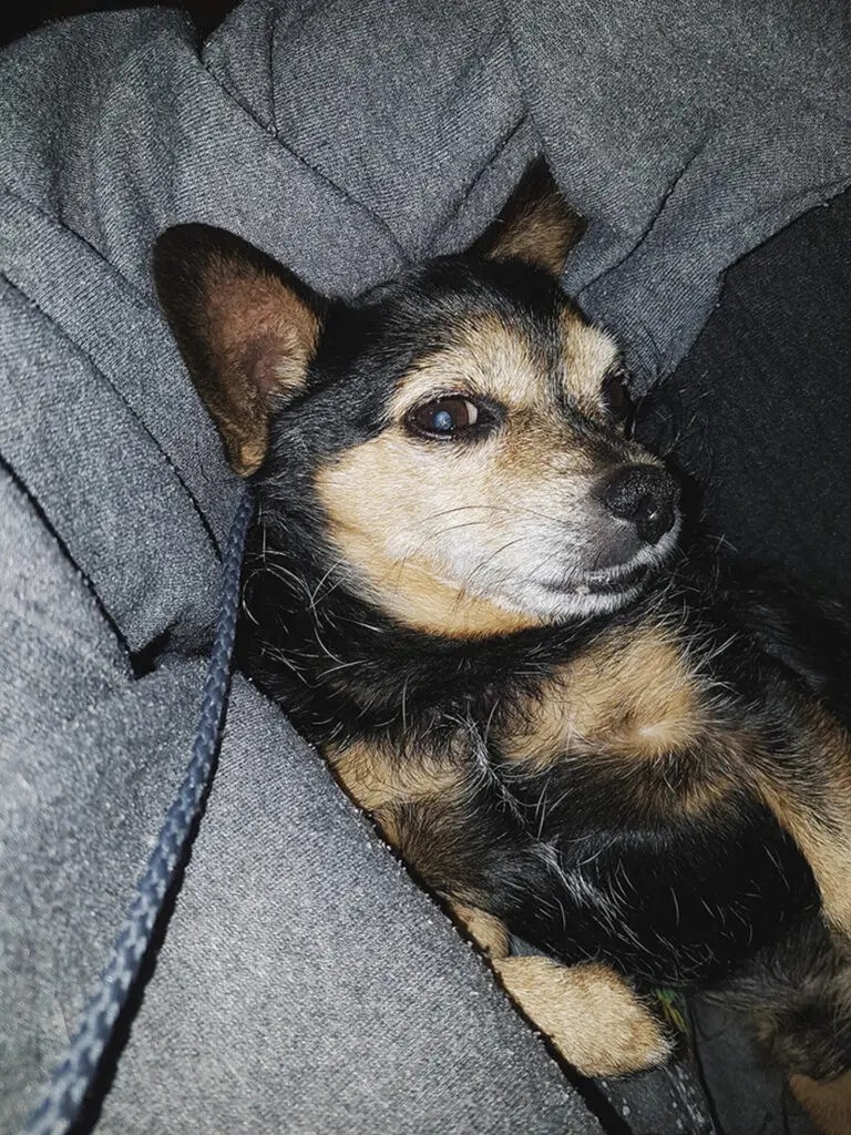 Processed with VSCO with hb2 preset