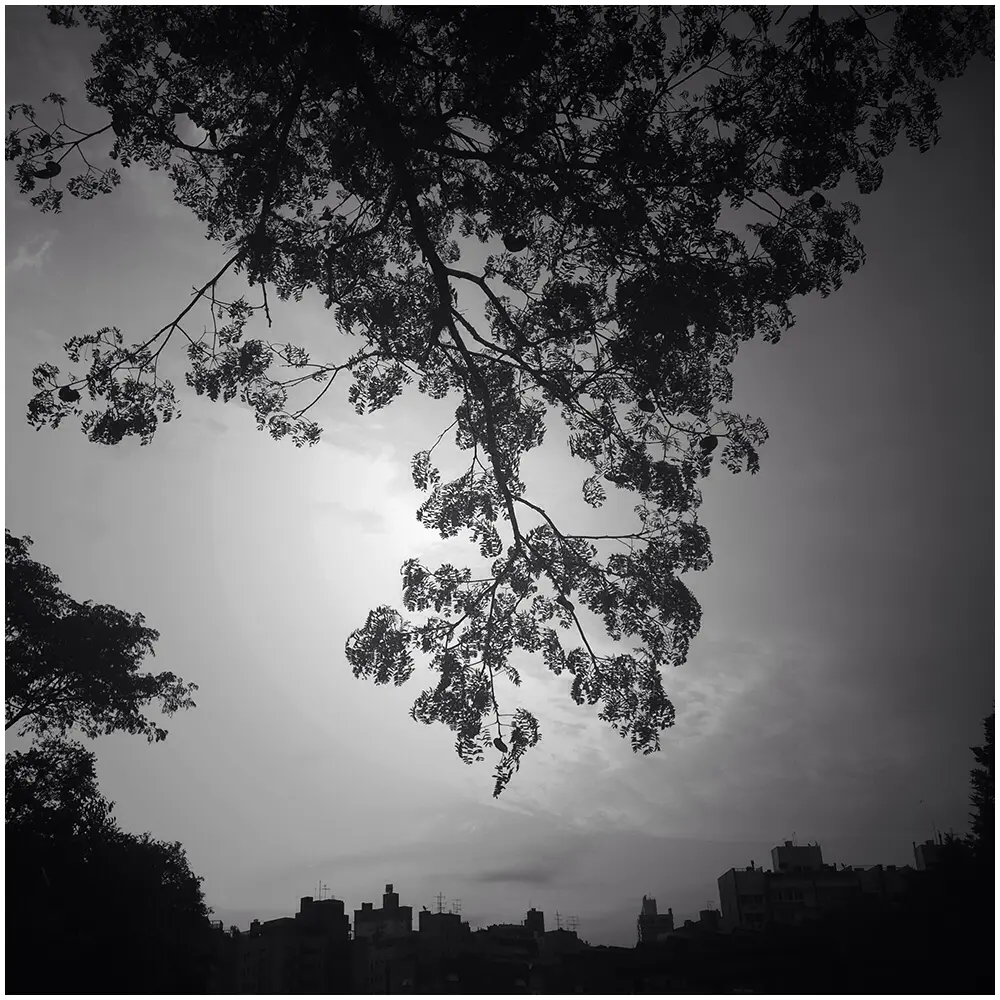 fotos com iphone 4 e 5c