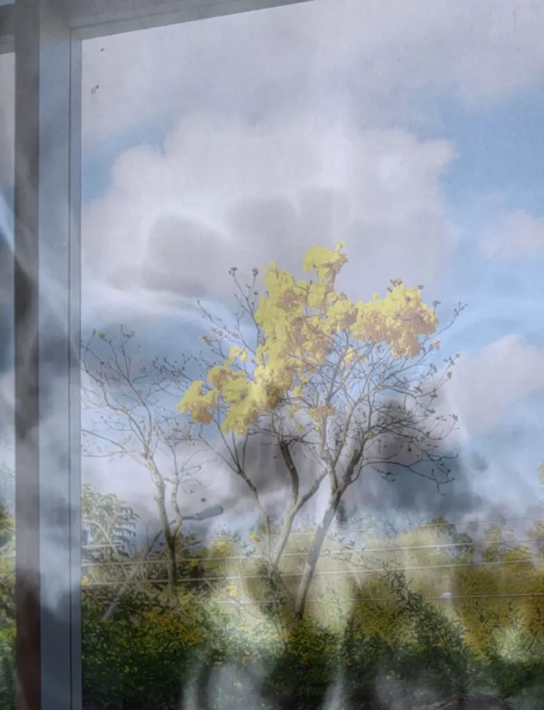 Sandra-Goncalves_Caos (11)