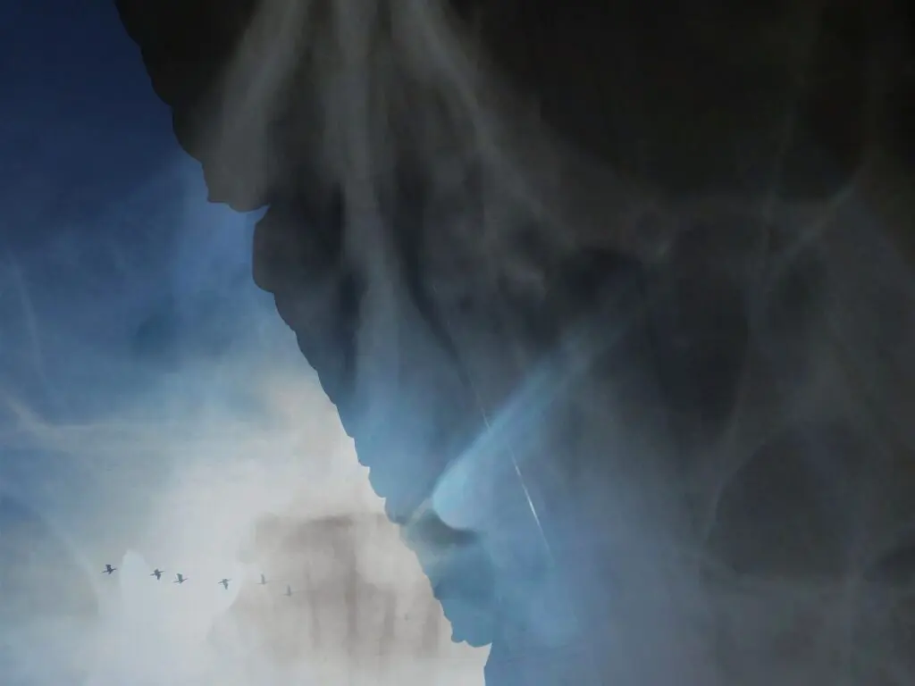 Sandra-Goncalves_Caos (12)