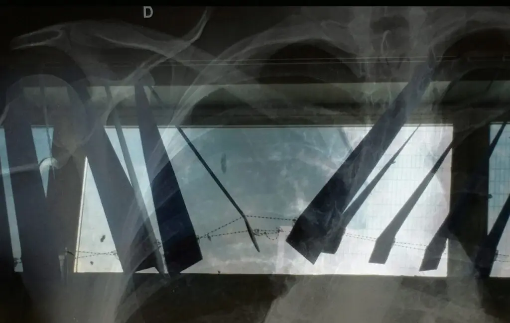 Sandra-Goncalves_Caos (6)