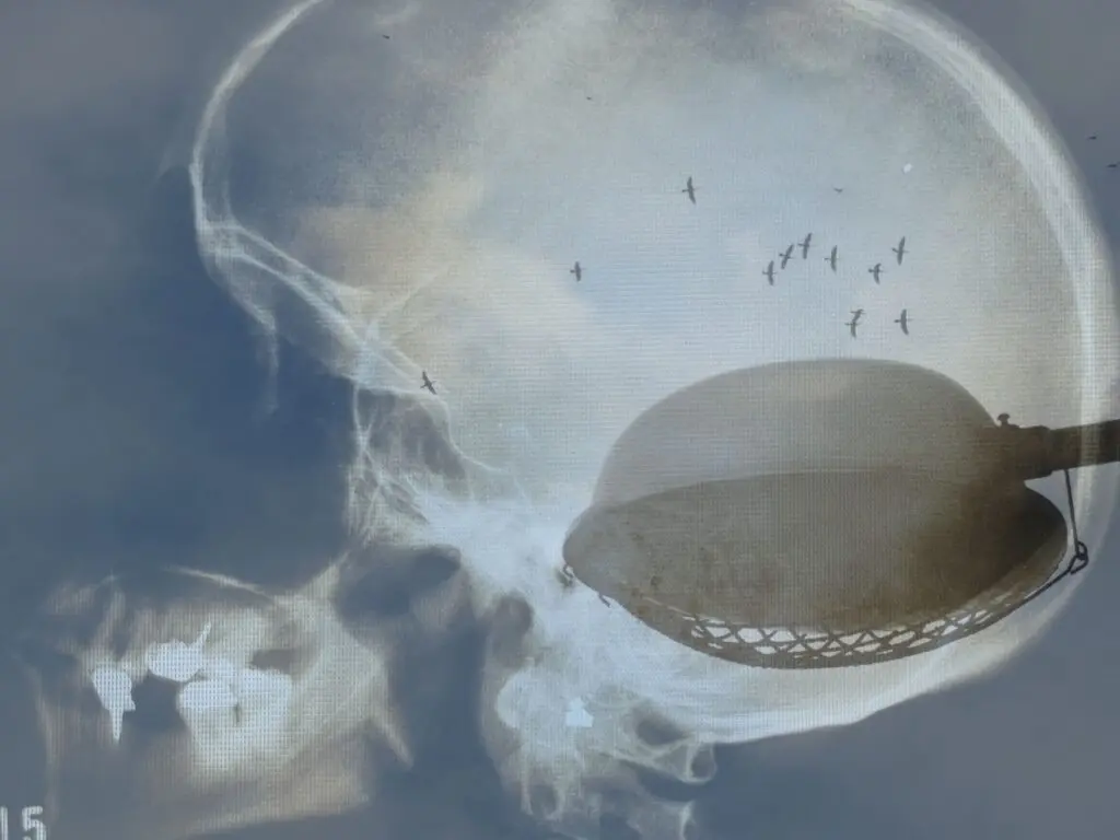 Sandra-Goncalves_Caos (9)