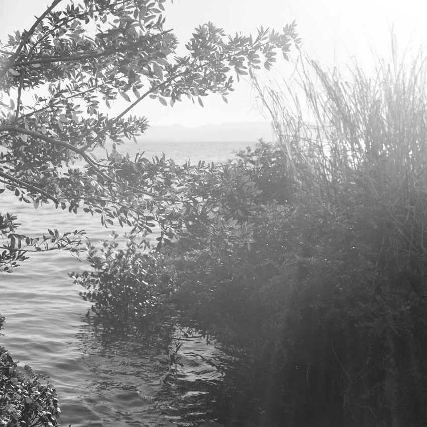 Andrea Eichenberger10