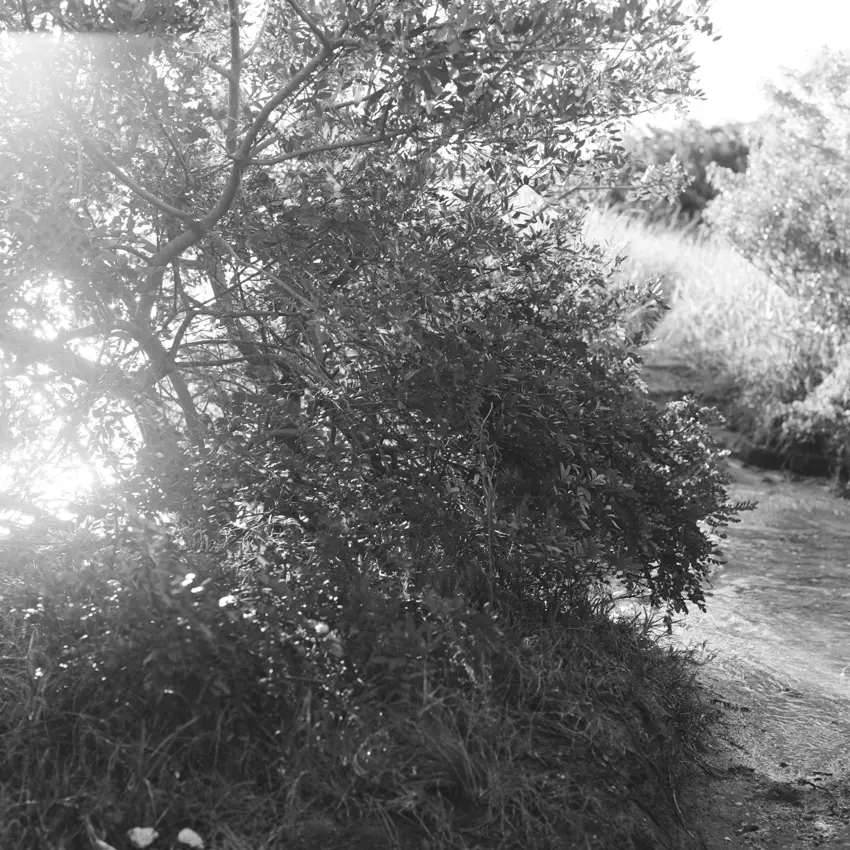 Andrea Eichenberger11