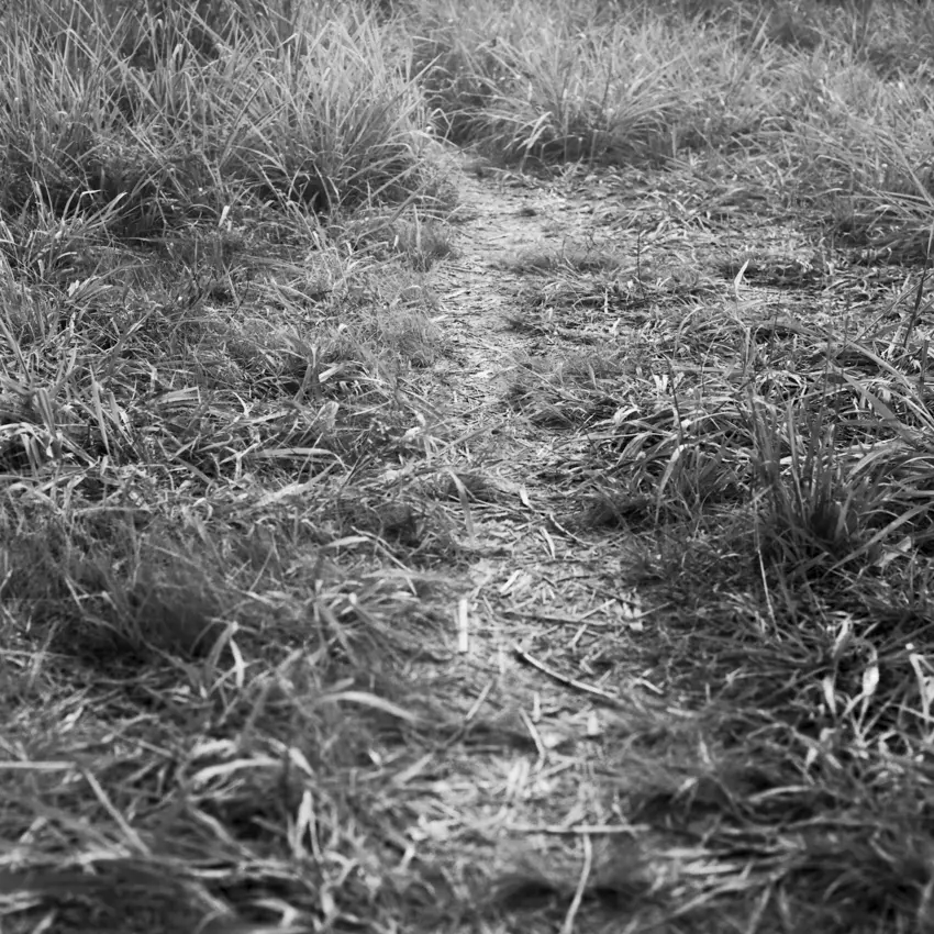 Andrea Eichenberger12