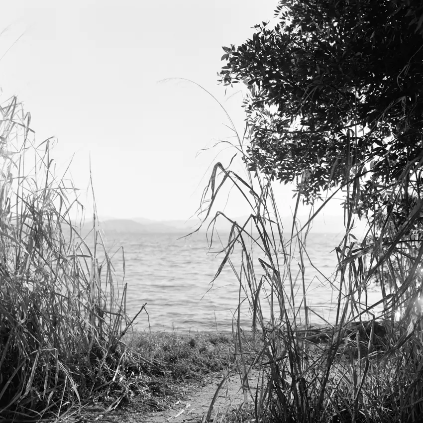 Andrea Eichenberger15