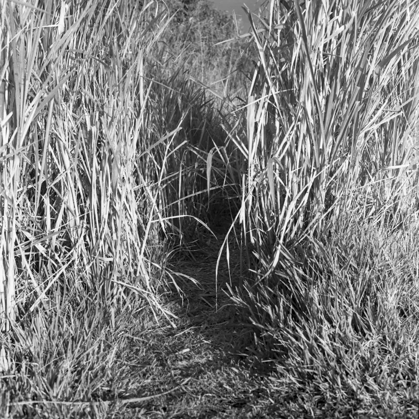 Andrea Eichenberger8