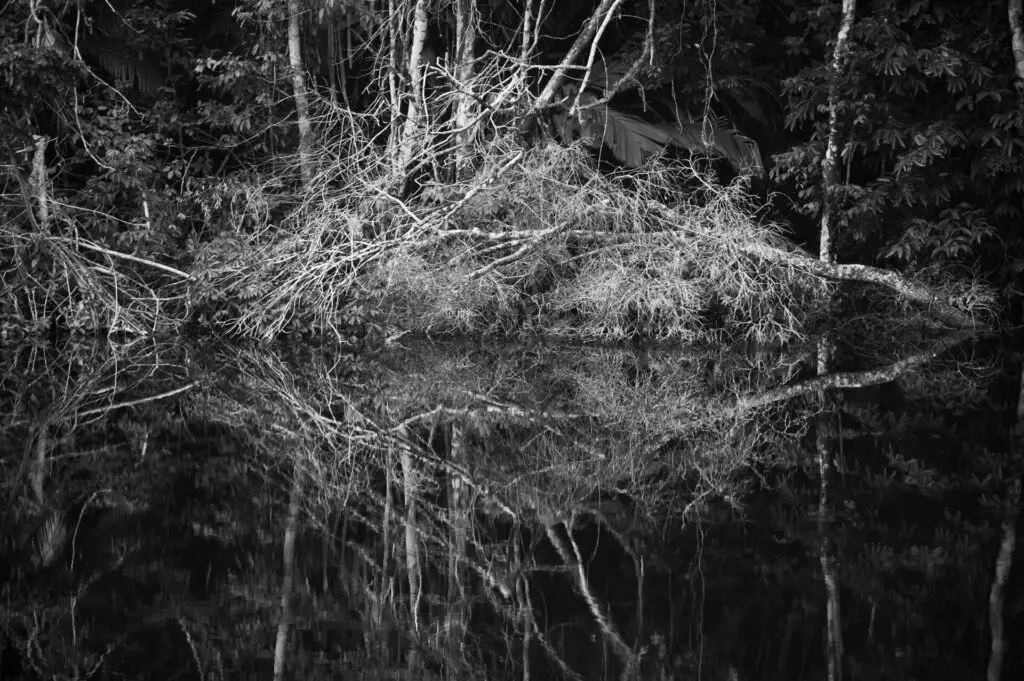 margem_mulheres luz_01