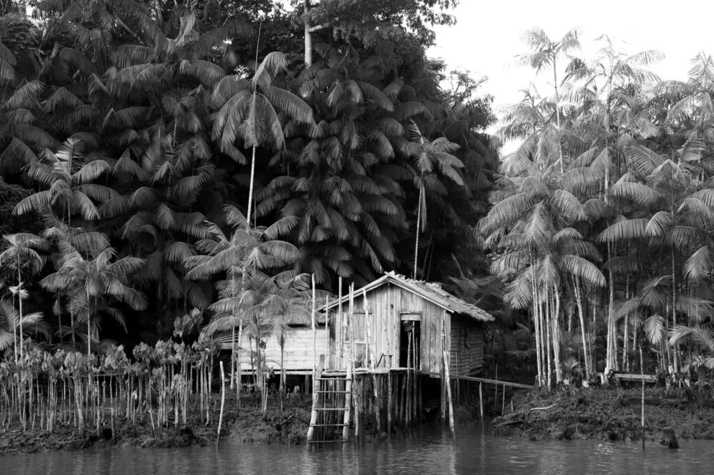 margem_mulheres luz_02