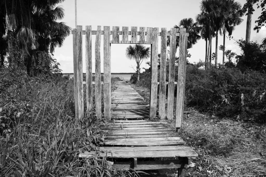 margem_mulheres luz_03