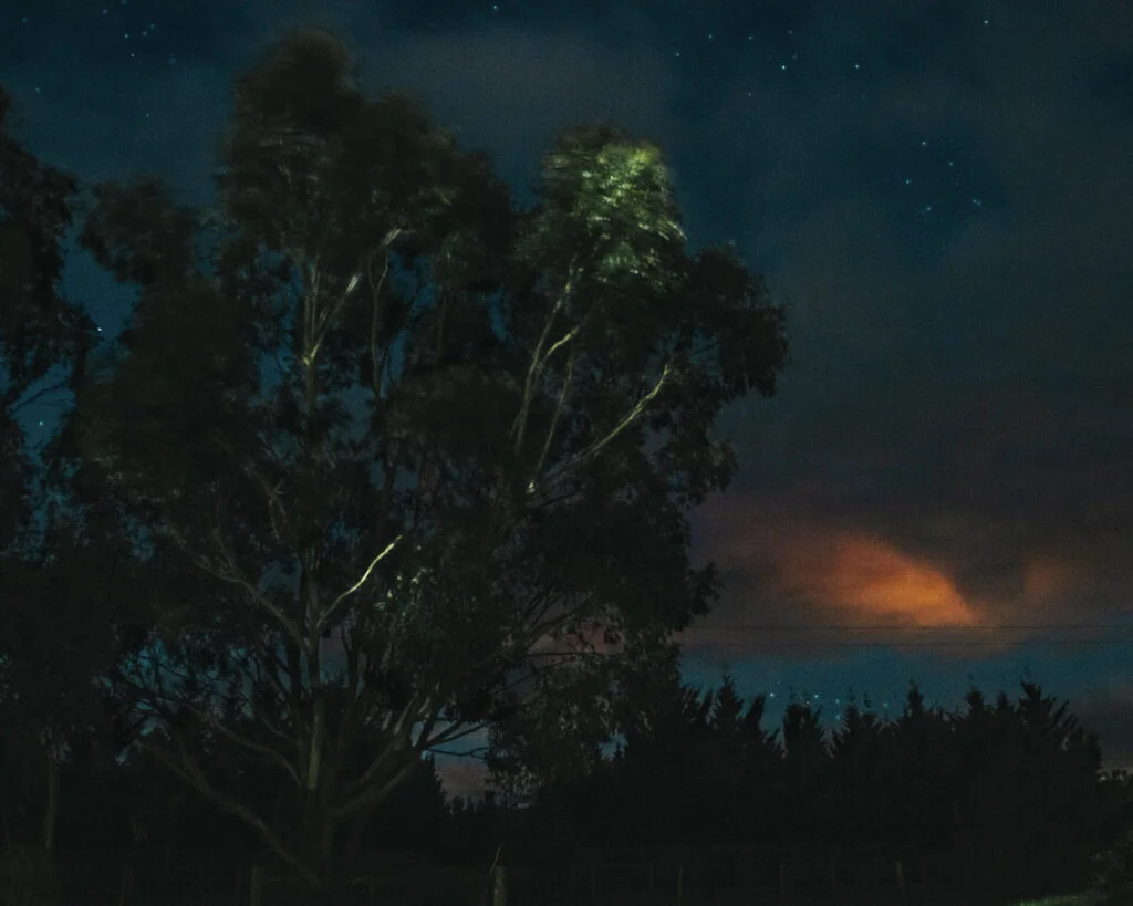 Cecilia Sordi Campos1