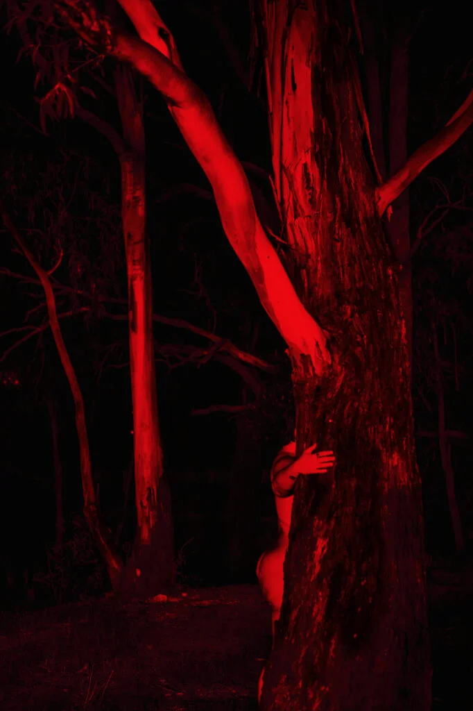 Cecilia Sordi Campos11