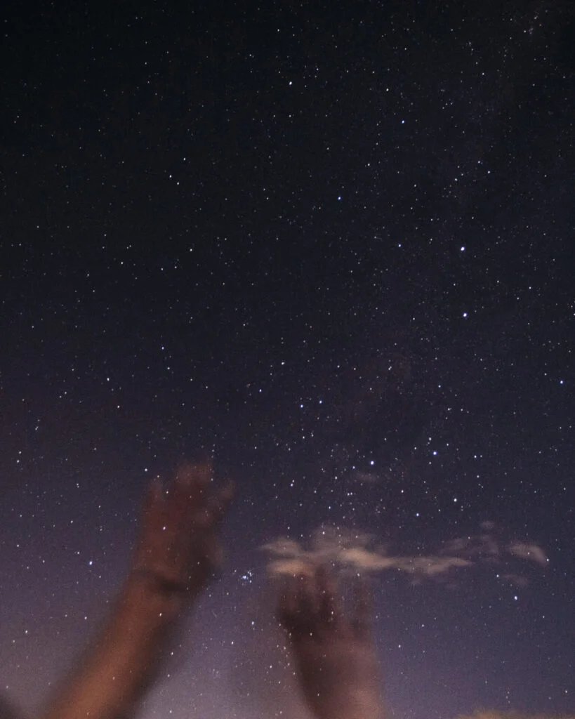 Cecilia Sordi Campos13