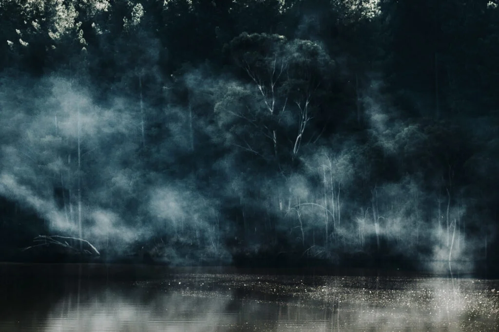 Cecilia Sordi Campos4