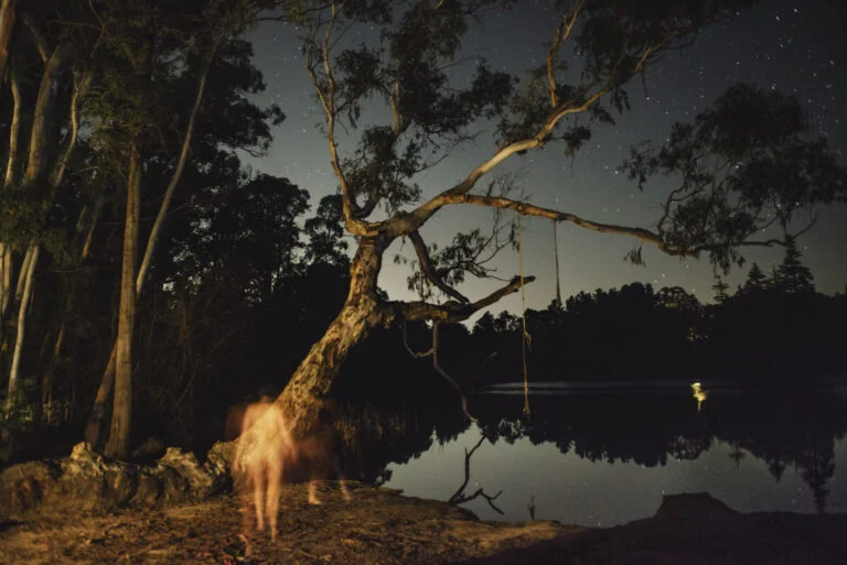 Cecilia Sordi Campos6