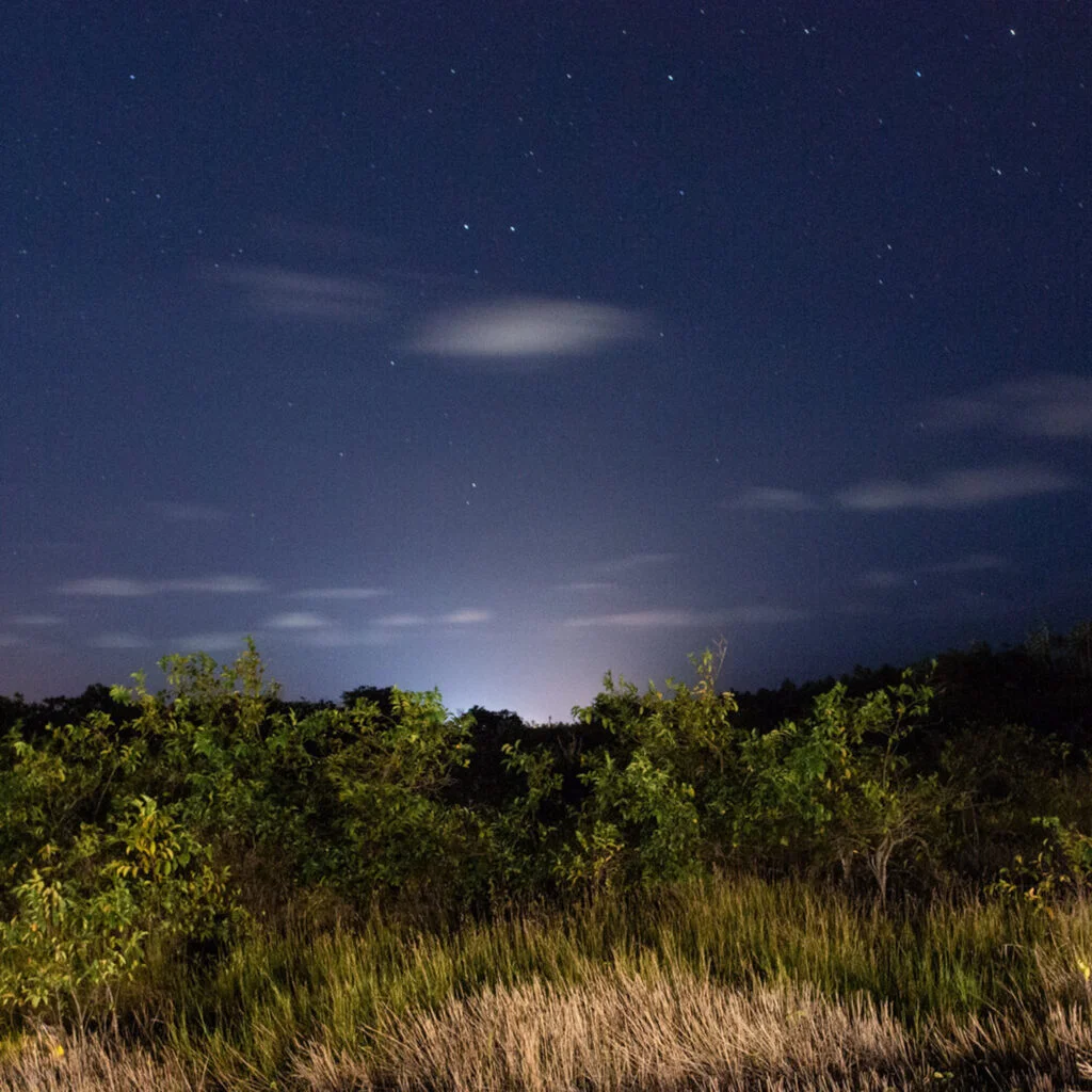 Daniela Paoliello_Escavar o escuro 01