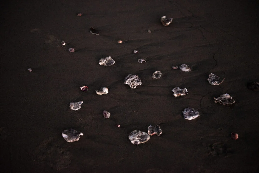 Daniela Paoliello_Escavar o escuro 04