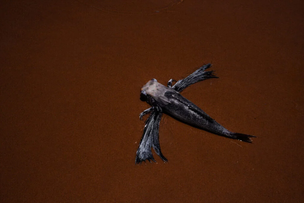 Daniela Paoliello_Escavar o escuro 06