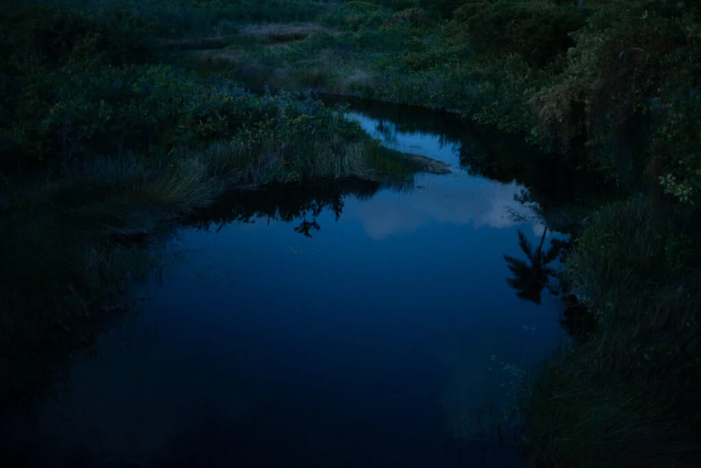 Daniela Paoliello_Escavar o escuro 11