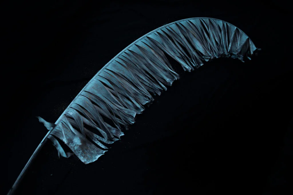 Daniela Paoliello_Escavar o escuro 12