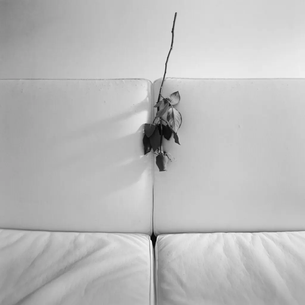 Patricia Gouvea_Fenda 03