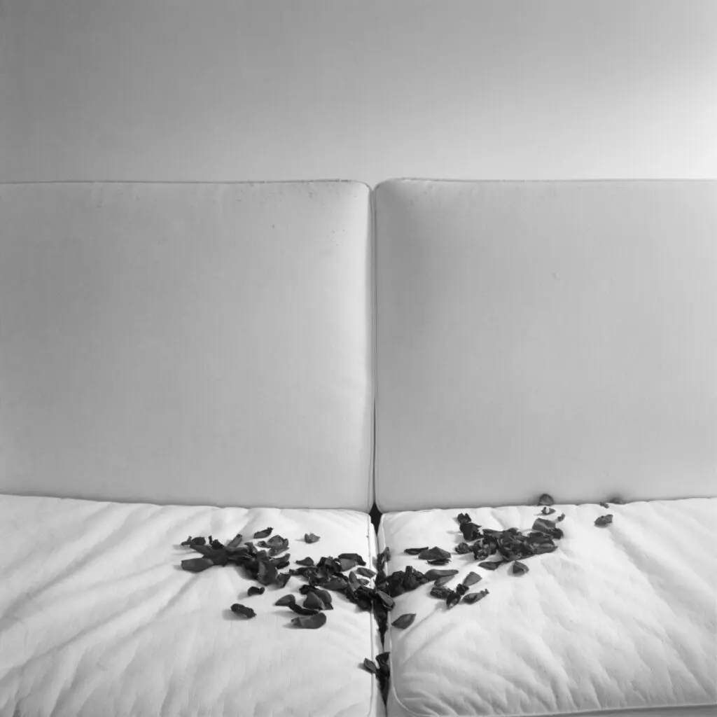 Patricia Gouvea_Fenda 04