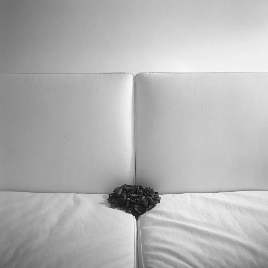 Patricia Gouvea_Fenda 05