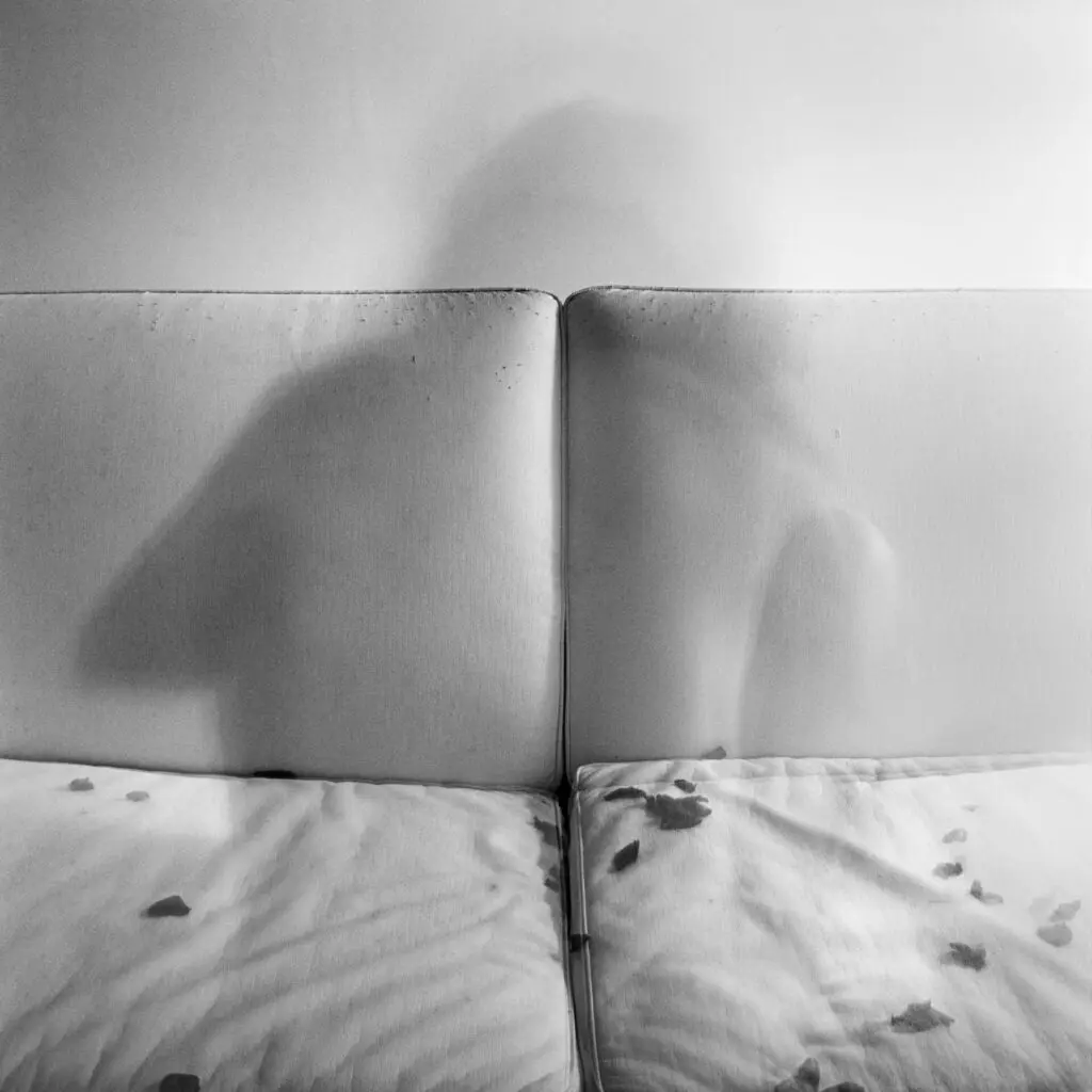 Patricia Gouvea_Fenda 08